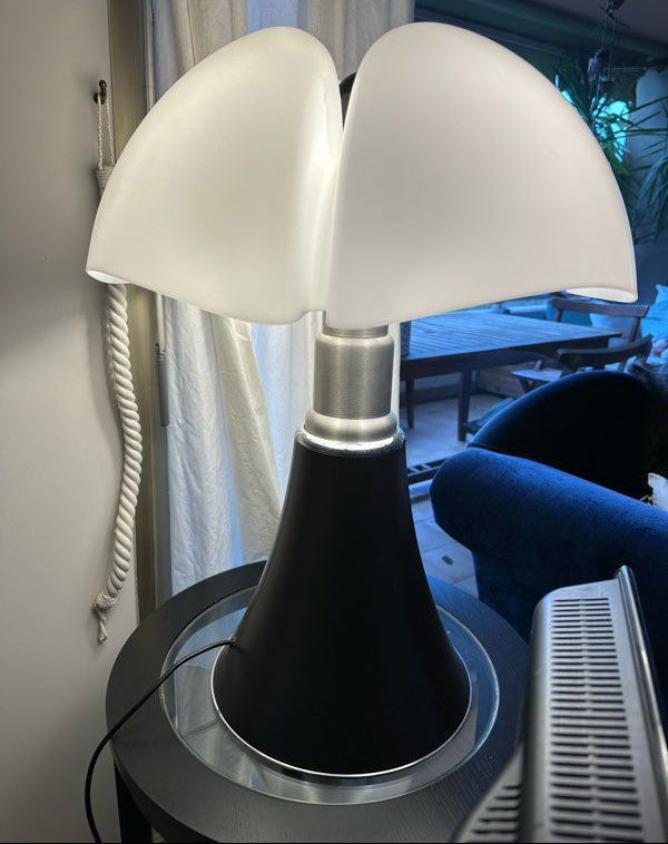 Pipistrello lamp