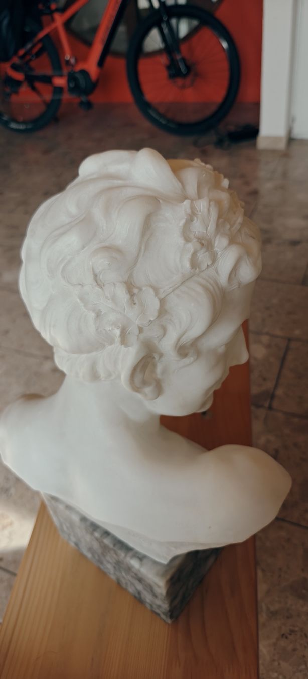 Carrara marble bust of a young man