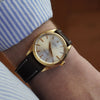 The Rolex Oyster Perpetual