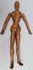 Mannequin d'artiste en bois féminin
