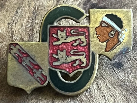 6th Fighter Wing Air insignia dating from 1946-1947