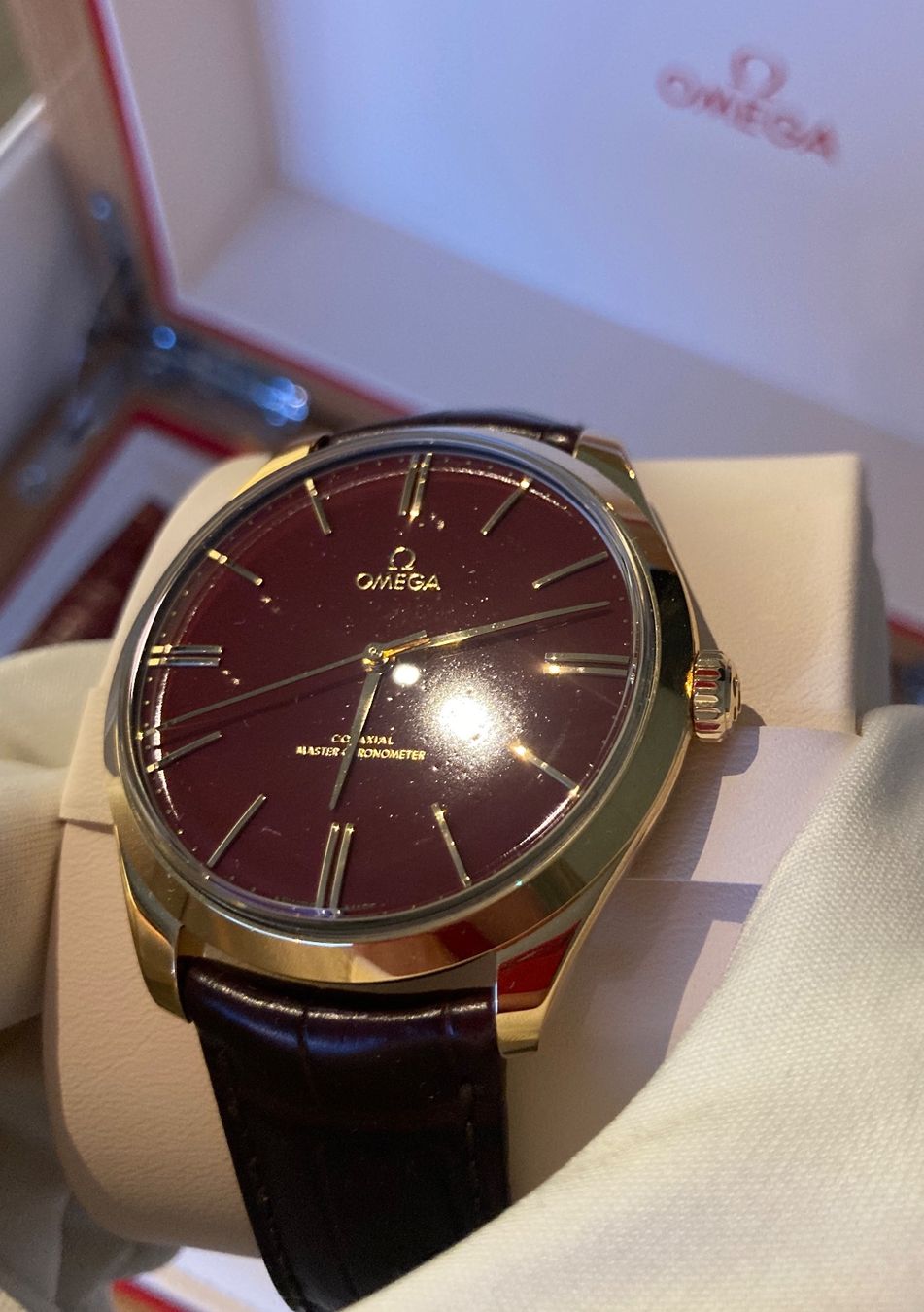 Exceptional luxury watch: Omega De Ville Trésor 125th Anniversary