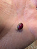 Cherry amber faturan bakelite necklace
