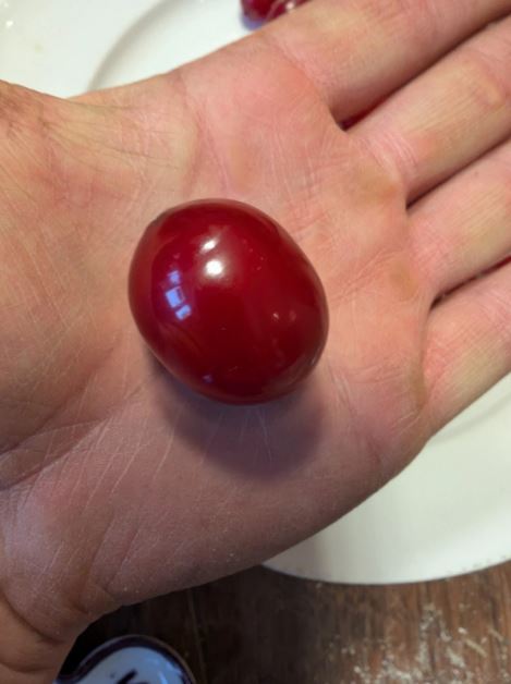 Cherry amber faturan bakelite necklace