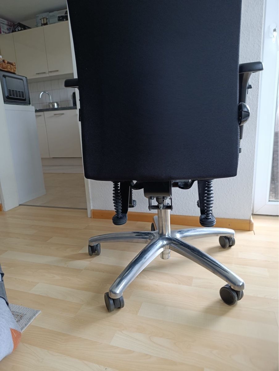 Bioswing orthopedic office chair