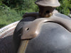 Antique German Pickelhaube marked 1870 WWI 14-18