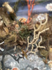 Diorama Verre filé Nevers 19è XIXè Art populaire Paysage Animaux Curiosité Rare