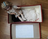 Myette doll from the Lisette magazine, issue no. 1 of 1921