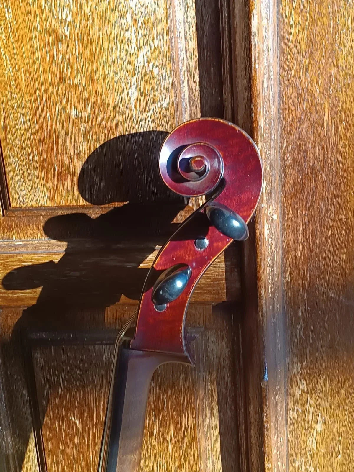 Antique cello
