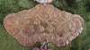 Gold Kim Khanh of Emperor Thanh Thai