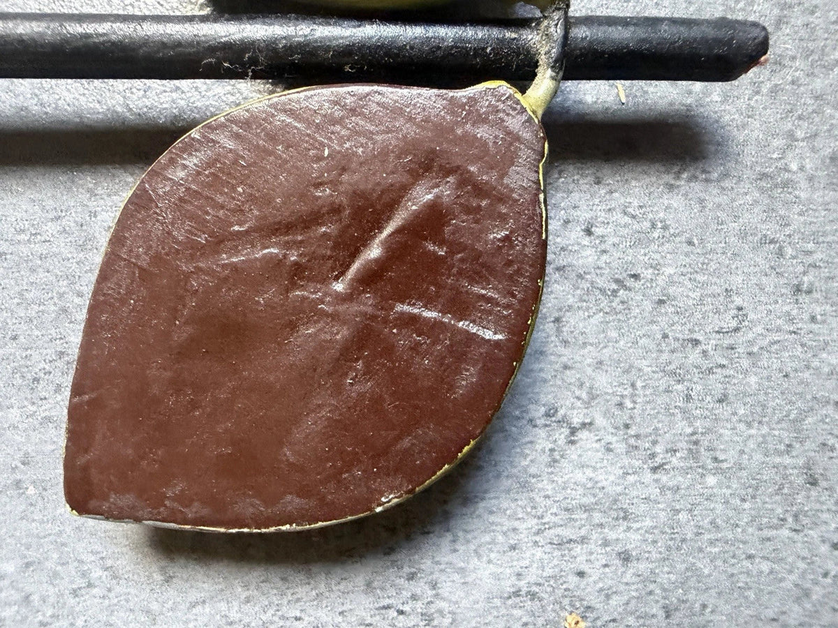 Mithé Espelt hand mirror 1960s, Mithé Espelt ceramic 1950s 1960s
