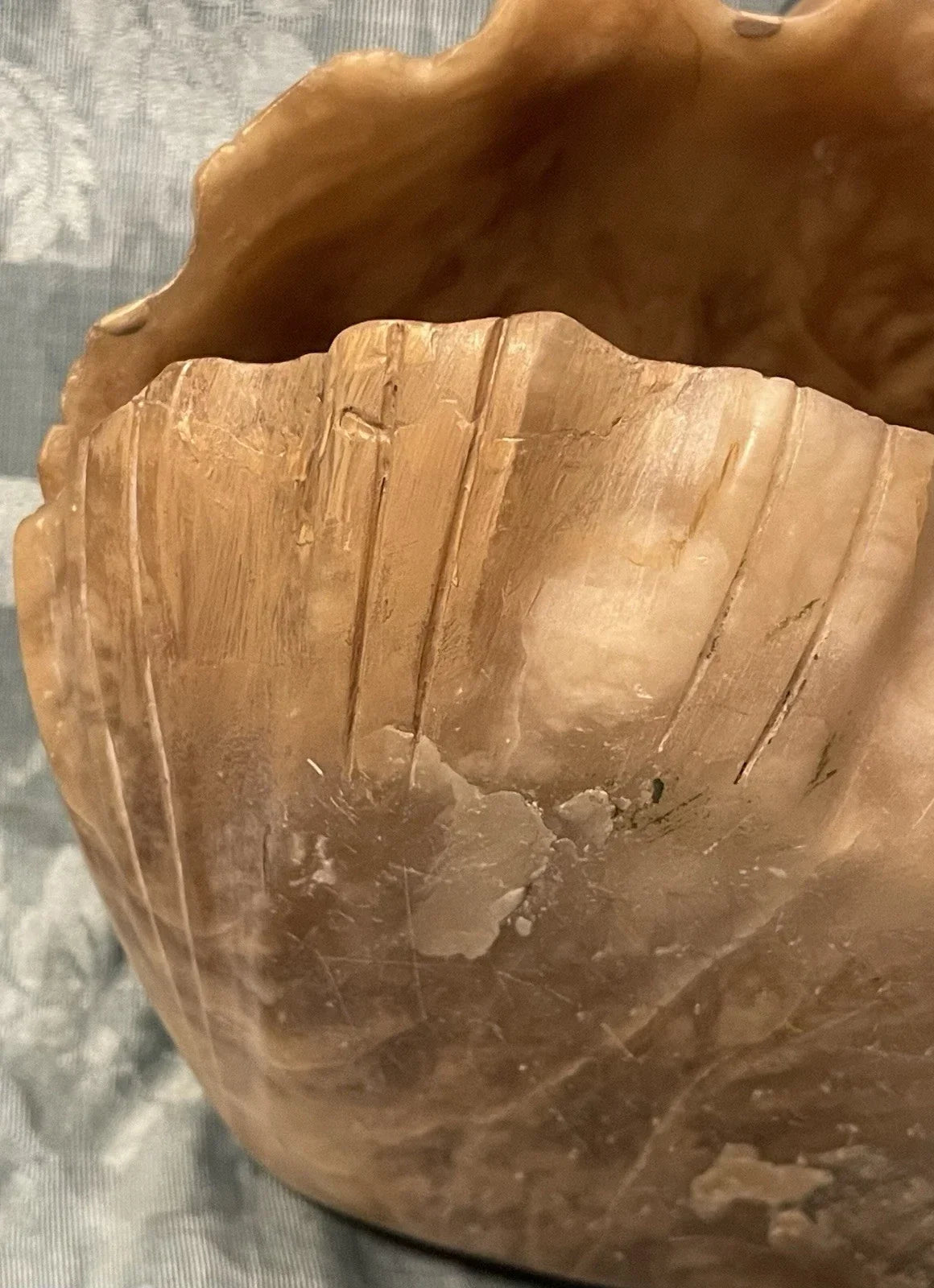 19th Century Alabaster Grand Tour Putto Angel Shell Sculpture Rare Collection