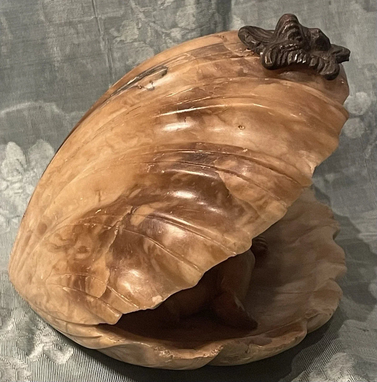 19th Century Alabaster Grand Tour Putto Angel Shell Sculpture Rare Collection