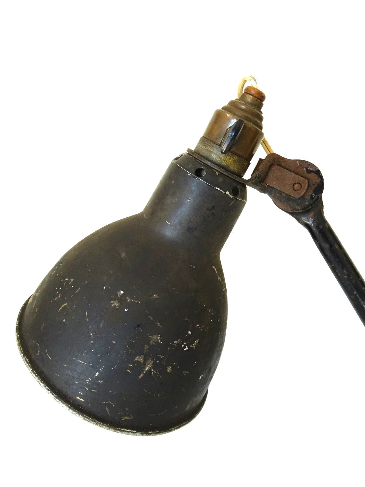 Gras Lamp 211
