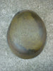 WW2 GERMAN M42 HELMET