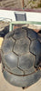 German Model 42 helmet, wire-mesh camouflage, WW2 Germany