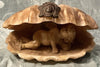 19th Century Alabaster Grand Tour Putto Angel Shell Sculpture Rare Collection