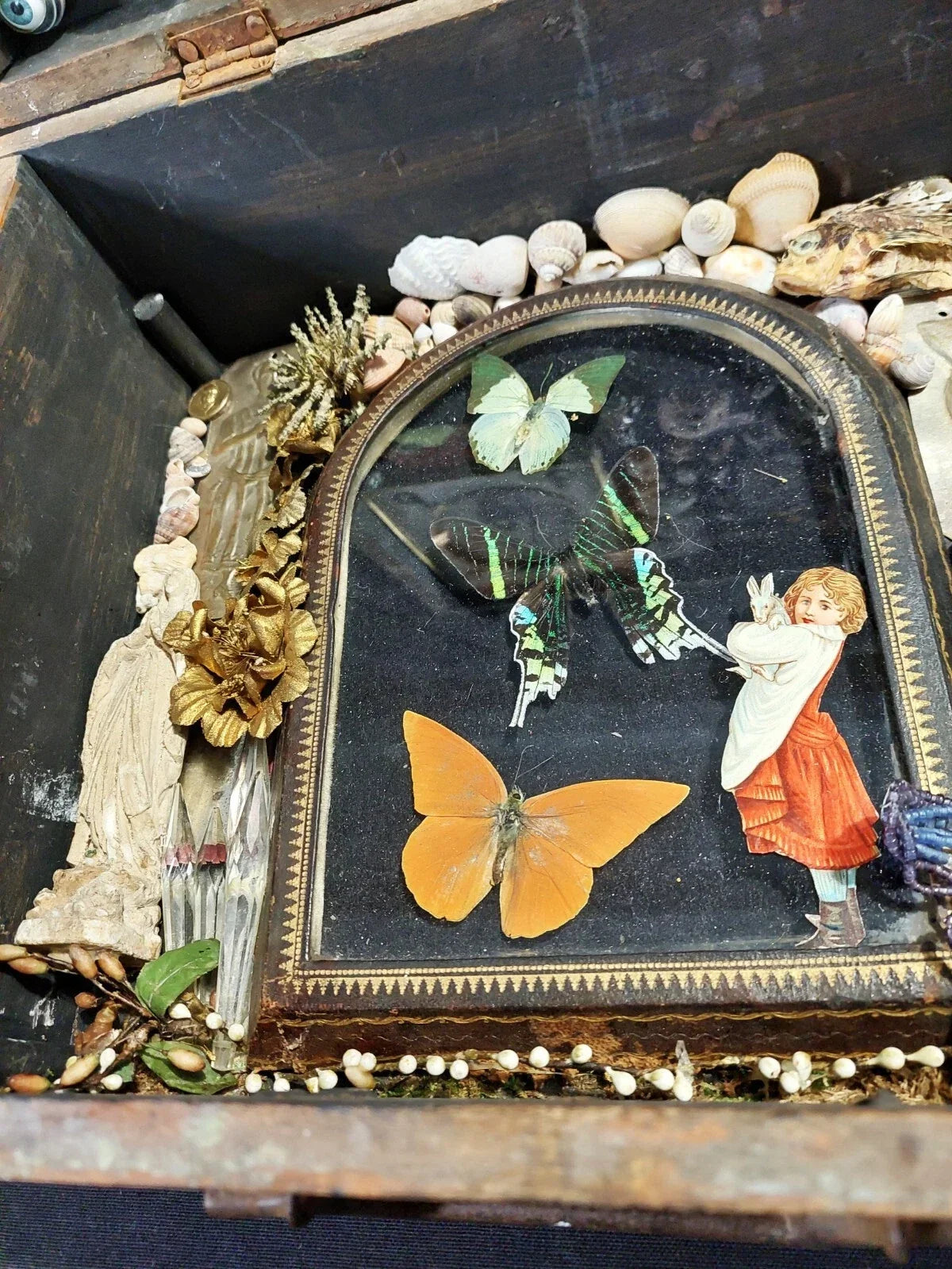 Wonder box one-of-a-kind piece
