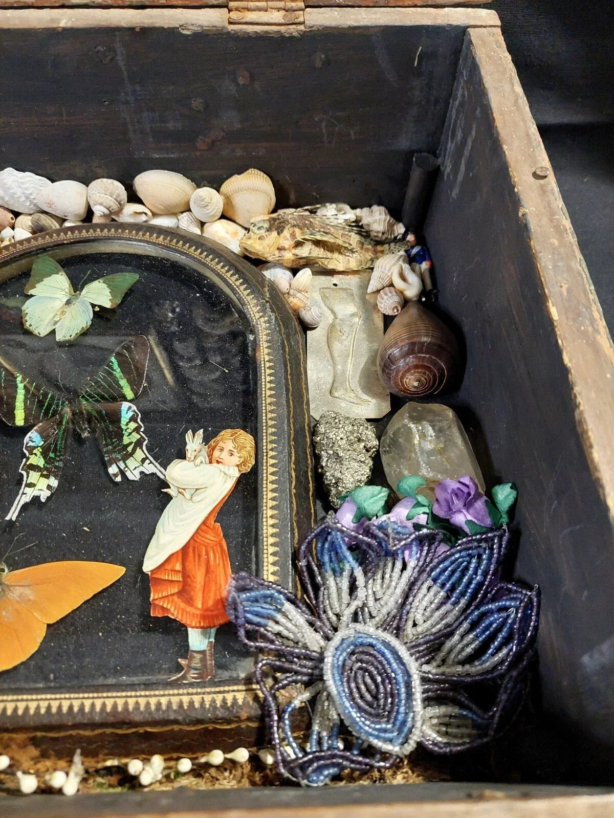 Wonder box one-of-a-kind piece