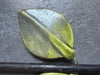 Mithé Espelt hand mirror 1960s, Mithé Espelt ceramic 1950s 1960s