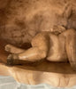 19th Century Alabaster Grand Tour Putto Angel Shell Sculpture Rare Collection