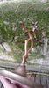 Bronze candlestick